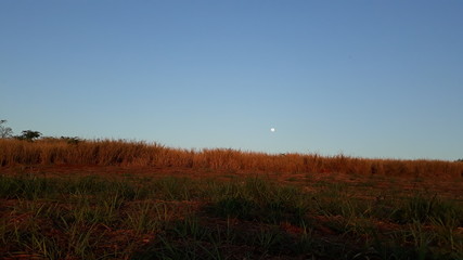 sunset over a field moon