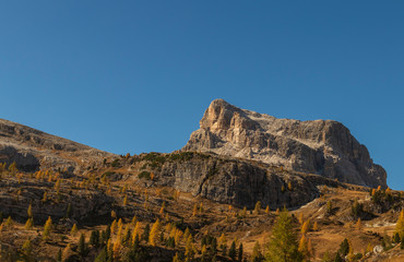 landscape in mountains