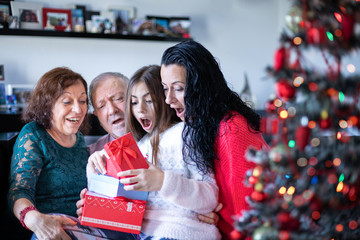 Multi generation family giving Christmas gifts on the sofa at home