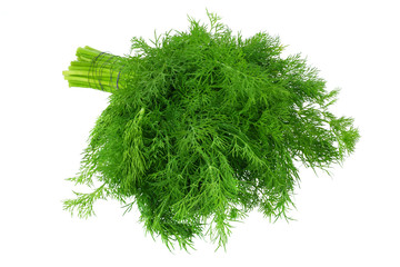 bunch fresh green dill isolated on white background