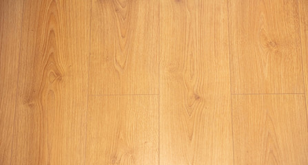 Wood floor, oak tree, interior parquet background texture