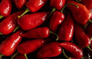 Bunch of small sweet peppers, red, with natural light for background