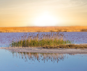 small island in a lake at the sunset, peaceful outdoor scene