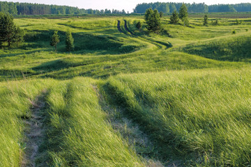 the landscape is hilly green grass and field roads in the summer