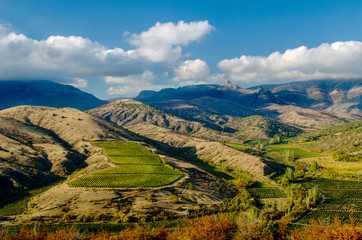 Fototapeta premium landscape with vineyards on the slopes of the mountains