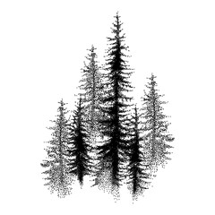 Dotted spruce tree or coniferous forest in black isolated on white background. © bokasana