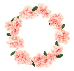 Pink flowers azalea wreath frame isolated on white background. Top view. Copy space. Holiday concept