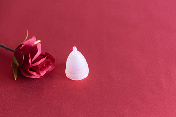 Protection for female hygeine. Menstrual cup, as an ecological way for woman menstrual protection.