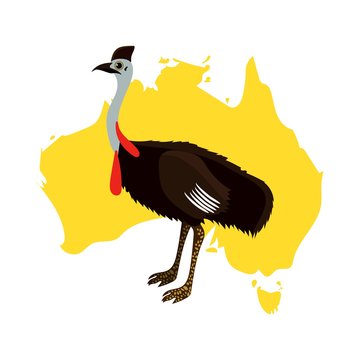 recommend clip art: cassowary With map on white background vector