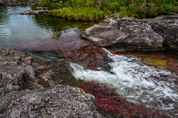 The rainbow river or five colors river is in Colombia one of the most beautiful nature places, is called Crystal Canyon