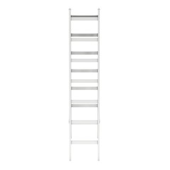 Step ladder. 3d render isolated on white