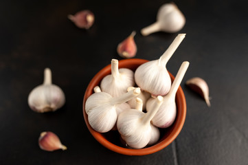 Cloves of garlic in a thicket on a stone background