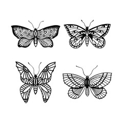 Fototapeta na wymiar set of butterflies. eps10 vector illustration. hand drawing