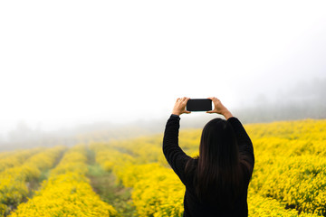 Relax solo travel adult woman on winter in blooming yellow chrysanthemum field.