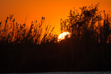 Sunset at chobe riverfront, Botswana, Africa