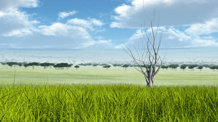 View of a spacious green plain with many trees in the background. Large dry tree surrounded by green grass
