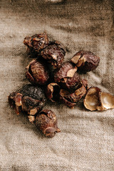 Soap nut texture. Nature cosmetic. Eco friendly alternative 