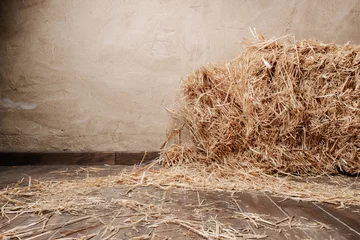 Foto op Plexiglas Wooden floor background and dry straw © Dani