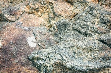 Old natural grey stone texture background.