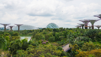 Fototapeta premium Singapore