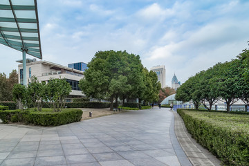 street in the city of shanghai