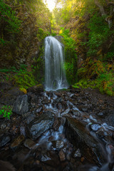 Obraz premium Sunshine above Lancaster Falls along the Columbia River Gorge