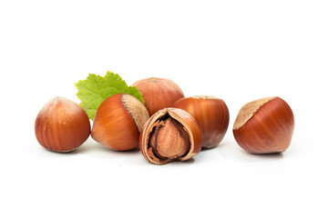 Hazelnut nut many leaves isolated on a white background as a packaging design element