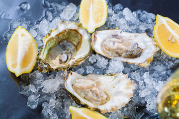 Food. oysters on ice and lemon
