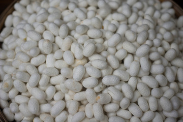 Closed up cocoon of silk in basket