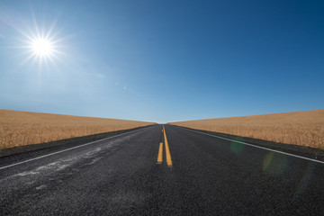 Straight road cutting through wheat fields in Eastern Oregon