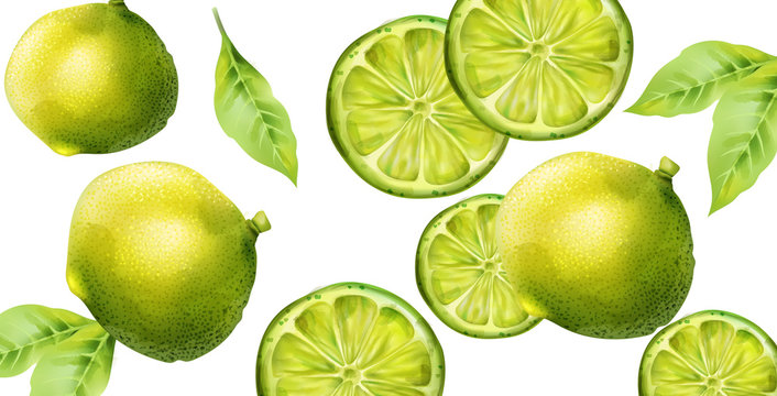 Green lime fruits with slices and leaves. Banner with isolated background