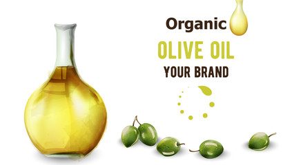 Organic olive oil in bottle. Place for text or brand. Watercolor style vector