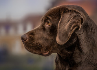 Kein Blick ist wie dieser