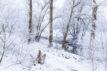 Bachlauf im Winter von Bäumen gesäumt, schneebedeckt