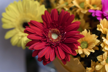 The combination of different colors in the bouquet, the game of colors.