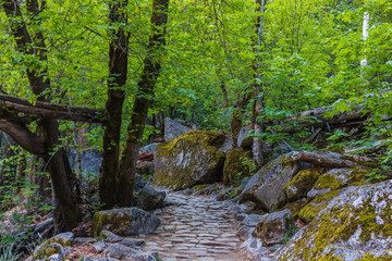 Fototapeta premium Hiking