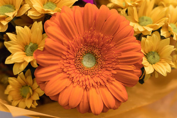 The combination of different colors in the bouquet, the game of colors.