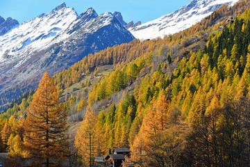 autumn landscape in Lötschental, Valais Switzerland