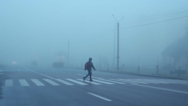The pedestrian crossing in the city in heavy fog, background
