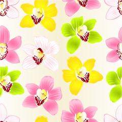 Seamless texture tropical Orchid Cymbidium green pink yellow white flower  festive background vintage vector illustration editable hand draw