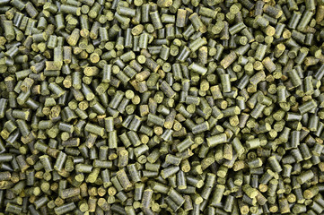 spearmint granule herbs theme