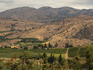 Lake Chelan and Mason beautiful countryside with apple orchards and vineyards