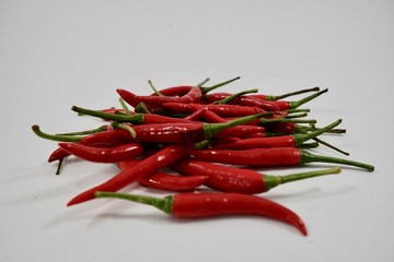 red chili  on isolate white background