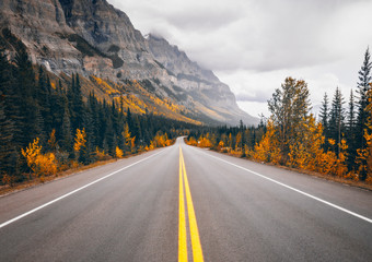 Fototapeta na wymiar Epic Autumn Highway Road Through Wilderness Mountains Ice fields Parkway Banff Alberta Canada