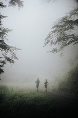 Naklejka na ściany i meble People running - athlete runners training jogging in foggy forest.