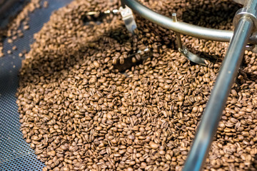 Fresh roasted coffee arabica beans have been cooled down in the cooling bin/tray after completed roasting process.