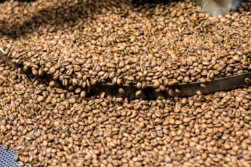 Obraz premium Fresh roasted coffee arabica beans have been cooled down in the cooling bin/tray after completed roasting process.