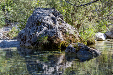 Cold, mountain river flows on a sunny summer day