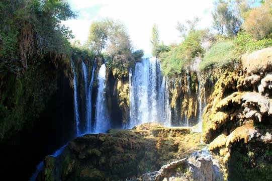 waterfall in the forest