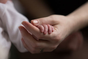 Adult holding newborn's hand 